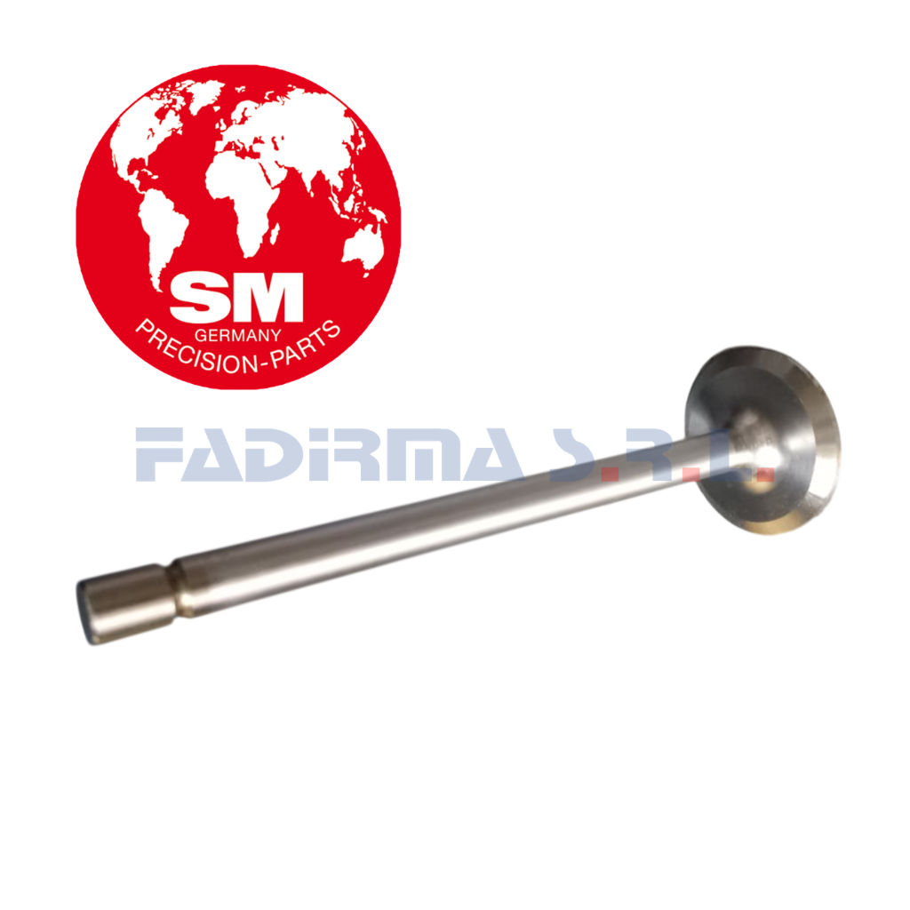 479204 - VALVULA DE ADMISION TD100/101/102/103